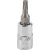 Channellock 1/4 In. Drive T20 6-Point Torx Bit Socket -Cheap Channellock Store ItemImage 369497 q5vvx4 6h0v88 jjb99